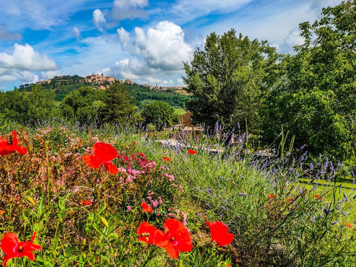 Fonte Martino Guest House & Estate Montepulciano Luaran gambar